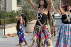 IMG_9586 IMG_9586