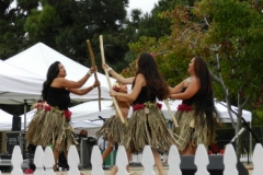 163_1024x768 163_1024x768